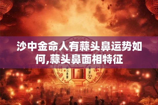 沙中金命人有蒜头鼻运势如何,蒜头鼻面相特征 沙中金命人有蒜头鼻运势如何,蒜头鼻面相特征