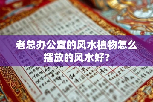 老总办公室的风水植物怎么摆放的风水好？