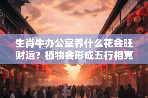 生肖牛办公室养什么花会旺财运？植物会形成五行相克吗？