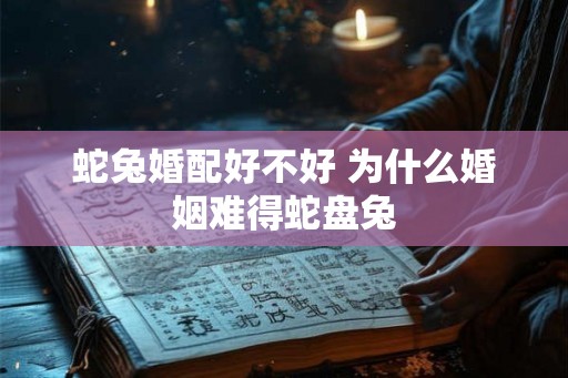 蛇兔婚配好不好 为什么婚姻难得蛇盘兔