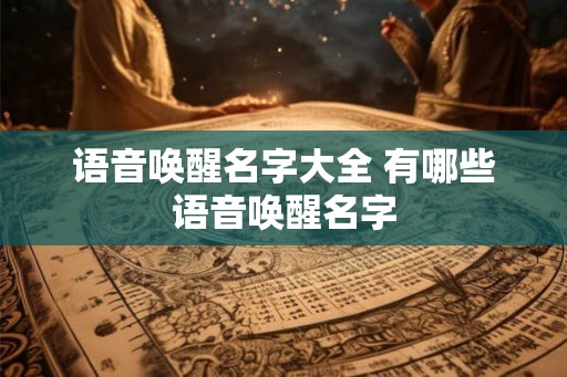 语音唤醒名字大全 有哪些语音唤醒名字 语音唤醒名字大全 有哪些语音唤醒名字