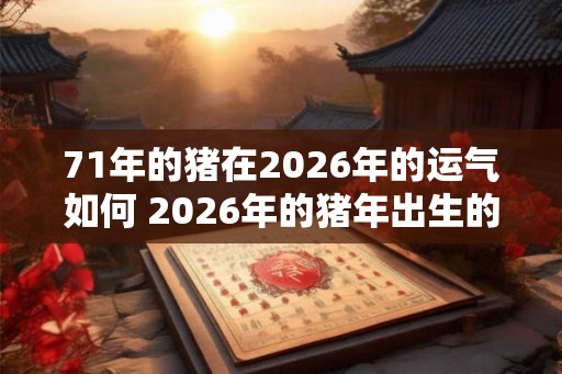 71年的猪在2026年的运气如何 2026年的猪年出生的猪的运势如何