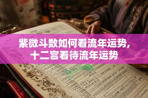 紫微斗数如何看流年运势,十二宫看待流年运势