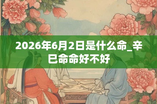 2026年6月2日是什么命_辛巳命命好不好