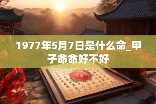 1977年5月7日是什么命_甲子命命好不好