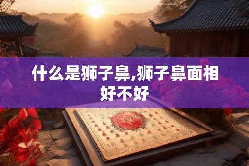 什么是狮子鼻,狮子鼻面相好不好