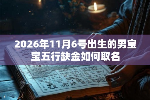 2026年11月6号出生的男宝宝五行缺金如何取名