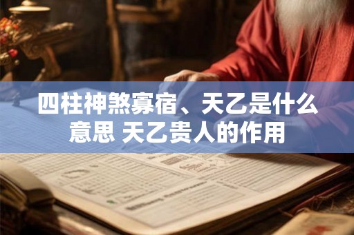 四柱神煞寡宿、天乙是什么意思 天乙贵人的作用 四柱神煞寡宿、天乙是什么意思 天乙贵人的作用