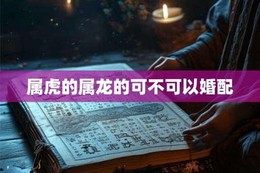 属虎的属龙的可不可以婚配