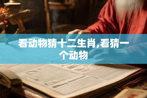 看动物猜十二生肖,看猜一个动物