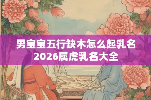男宝宝五行缺木怎么起乳名2026属虎乳名大全