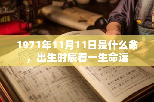 1971年11月11日是什么命，出生时辰看一生命运