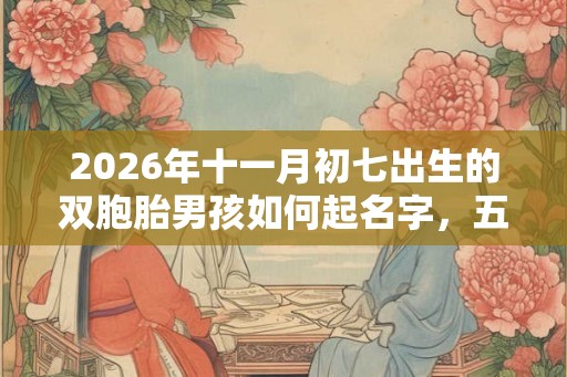 2026年十一月初七出生的双胞胎男孩如何起名字，五行属相是什么
