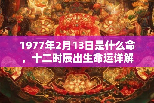 1977年2月13日是什么命，十二时辰出生命运详解