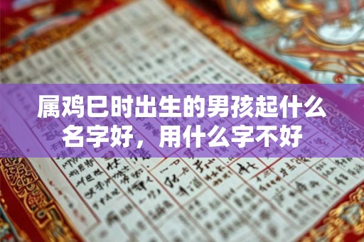 属鸡巳时出生的男孩起什么名字好,用什么字不好 属鸡巳时出生的男孩起什么名字好,用什么字不好