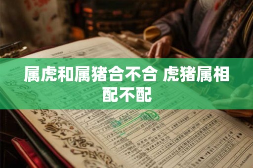 属虎和属猪合不合 虎猪属相配不配