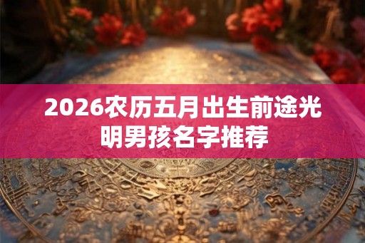 2026农历五月出生前途光明男孩名字推荐