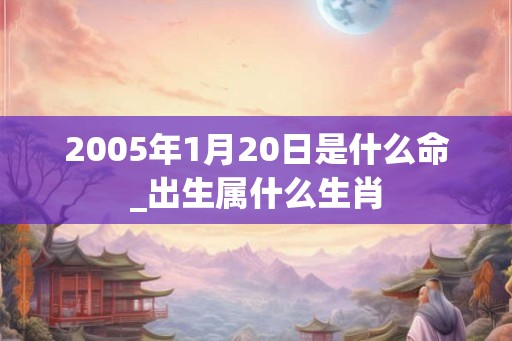 2005年1月20日是什么命_出生属什么生肖