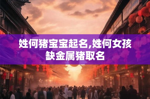 姓何猪宝宝起名,姓何女孩缺金属猪取名