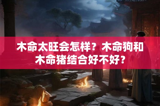木命太旺会怎样？木命狗和木命猪结合好不好？