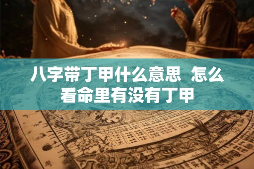 八字带丁甲什么意思  怎么看命里有没有丁甲