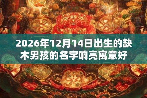 2026年12月14日出生的缺木男孩的名字响亮寓意好