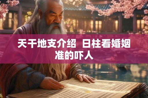 天干地支介绍 日柱看婚姻准的吓人 天干地支介绍 日柱看婚姻准的吓人
