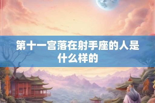 第十一宫落在射手座的人是什么样的