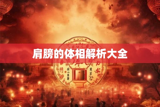 肩膀的体相解析大全
