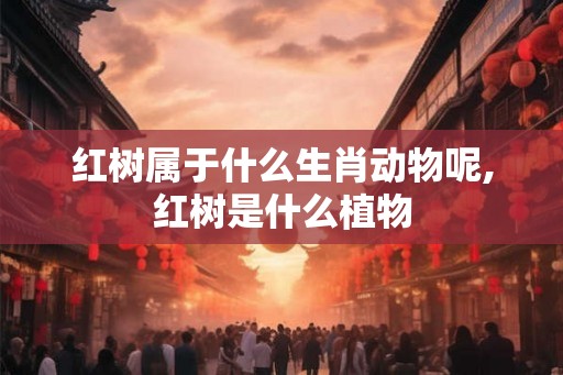 红树属于什么生肖动物呢,红树是什么植物