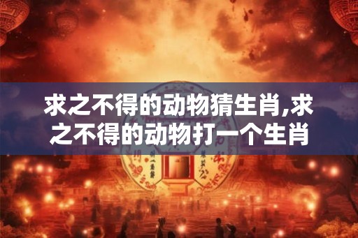 求之不得的动物猜生肖,求之不得的动物打一个生肖 求之不得的动物猜生肖,求之不得的动物打一个生肖