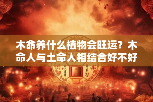 木命养什么植物会旺运？木命人与土命人相结合好不好？
