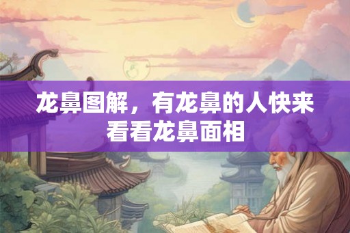 龙鼻图解，有龙鼻的人快来看看龙鼻面相
