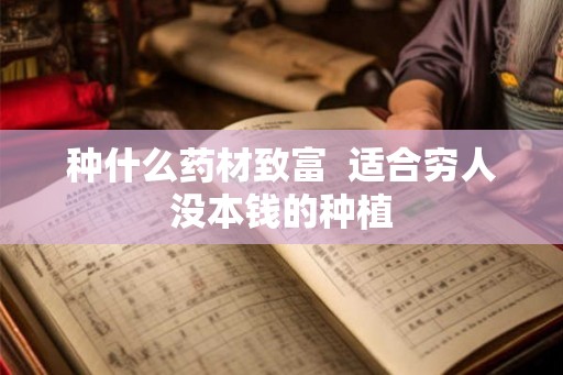 种什么药材致富  适合穷人没本钱的种植