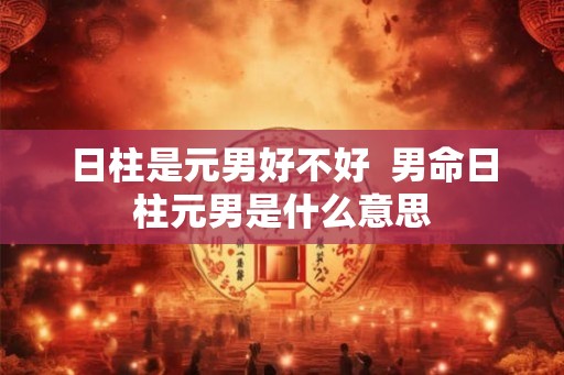 日柱是元男好不好  男命日柱元男是什么意思