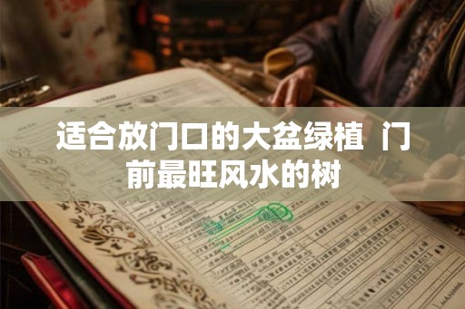 适合放门口的大盆绿植  门前最旺风水的树