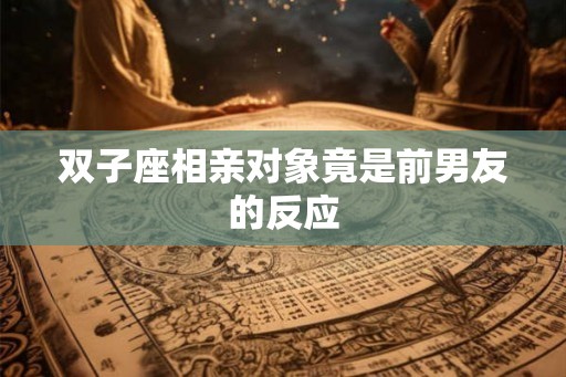 双子座相亲对象竟是前男友的反应