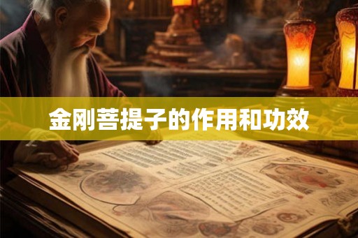 金刚菩提子的作用和功效