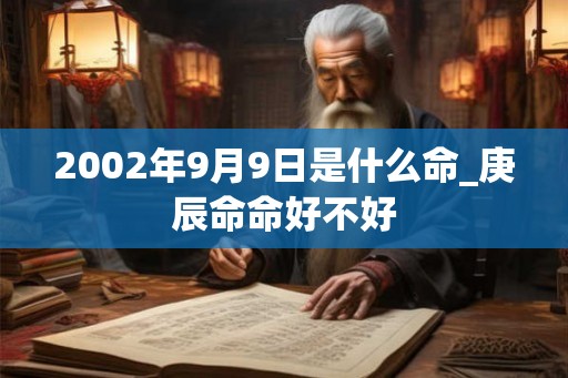 2002年9月9日是什么命_庚辰命命好不好