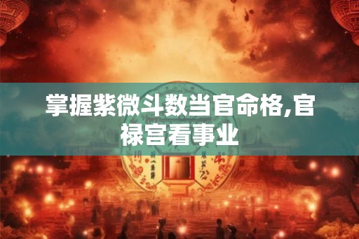掌握紫微斗数当官命格,官禄宫看事业