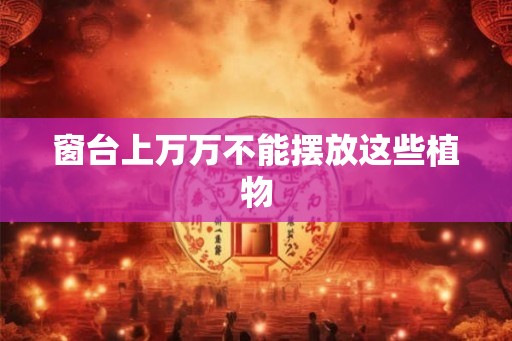 窗台上万万不能摆放这些植物