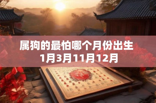 属狗的最怕哪个月份出生 1月3月11月12月