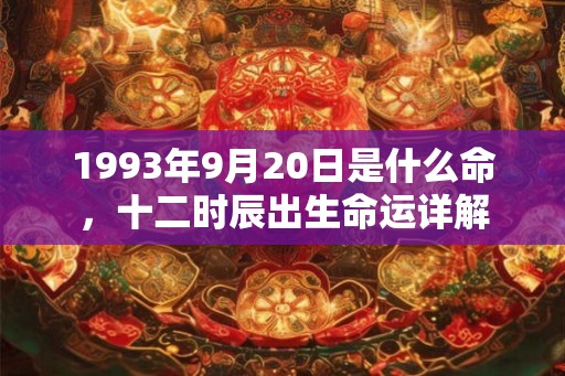 1993年9月20日是什么命，十二时辰出生命运详解