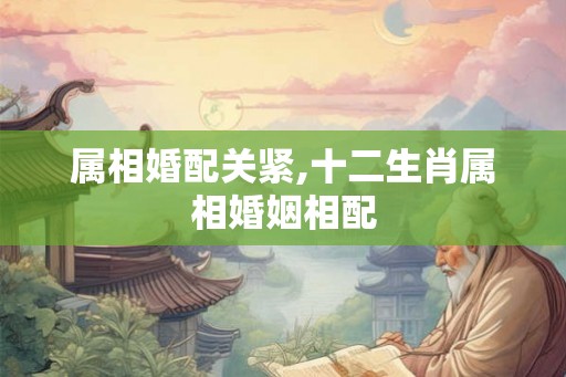 属相婚配关紧,十二生肖属相婚姻相配