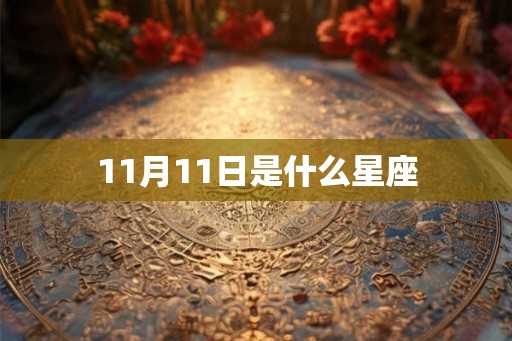11月11日是什么星座