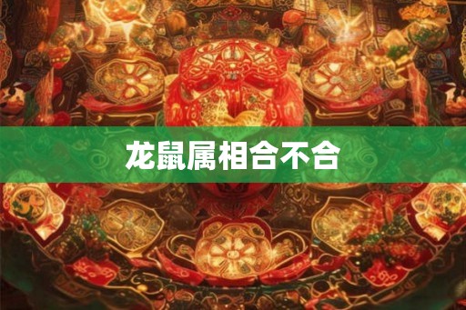 龙鼠属相合不合