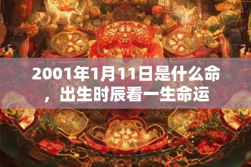 2001年1月11日是什么命，出生时辰看一生命运