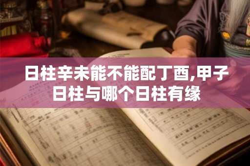 日柱辛未能不能配丁酉,甲子日柱与哪个日柱有缘 日柱辛未能不能配丁酉,甲子日柱与哪个日柱有缘