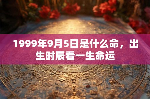 1999年9月5日是什么命，出生时辰看一生命运