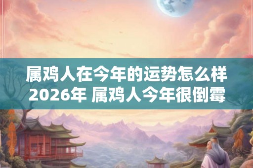 属鸡人在今年的运势怎么样2026年 属鸡人今年很倒霉吗